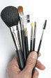 cosmetic brushes in detail