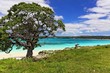 Photo en ligne au meilleur prix Plage de Mou Lifou Nouvelle-Cal�donie