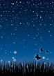 Nuit et Nature