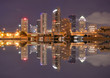 Tampa Bay Skyline