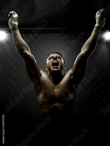 Photo: street fighter street fighter