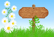 Signboard on the meadow with daisies