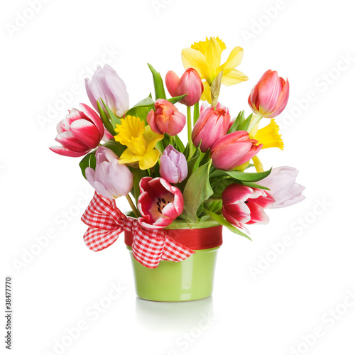 Photo: Tulips and Daffodils Tulips and Daffodils