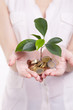 woman's hands holding plant sprouting from a handful of coins