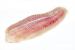 Pangasius Filet Of Fish. Pangasius Filet Of Fish.