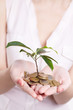 woman's hands holding plant sprouting from a handful of coins
