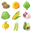 vegetables set