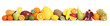 Food fruit