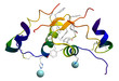 Insulin molecular structure