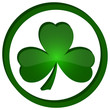 icon shamrock in the circle