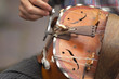 Vielle, musique, musicien, breton,roue, jouer, instrument