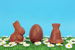 Foto: printemps - chocolats de Pâques printemps - chocolats de Pâques