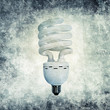 energy bulb print
