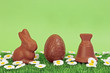 printemps - chocolats de Pâques printemps - chocolats de Pâques