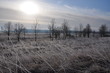 temps de glace 21