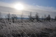 temps de glace 20