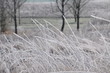 temps de glace 19