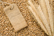 spike of wheat and tag price spike of wheat and tag price