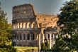 View over the Colosseum from Forum Romanum in Rome, Italy