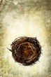Photo: nest backdrop nest backdrop