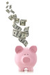 Foto: Money Falling into Piggy Bank Money Falling into Piggy Bank