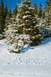 2013 im Winterwald