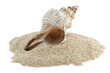 Shell and sand closeup picture