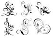 Florale Design Ornamente