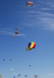 kite festival
