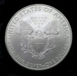 American silver eagle dollar coin
