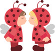 Kiss of ladybirds
