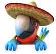 Perroquet mexicain Perroquet mexicain