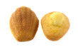 madeleines en gros plan sur fond blanc