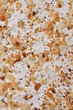 Card menu of desserts, roasted almonds on whipped cream