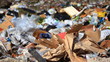 garbage dump