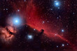 Horsehead Nebula and Flaming Tree  in the Constellation Orion