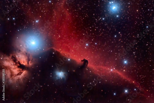 Photo: Horsehead Nebula and Flaming Tree in the Constellation Orion Horsehead Nebula and Flaming Tree in the Constellation Orion