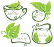 vector collection of eco drink and text frames