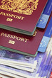 uk bio  passport money health cards