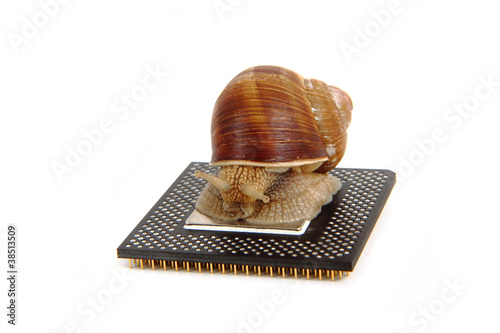 Photo: snail isolated on the computer heart snail isolated on the computer heart