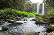 Whangarei Falls, New Zealand