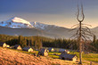 Dead wood and old houses in the Carpathian Mountains of Ukraine Dead wood and old houses in the Carpathian Mountains of Ukraine