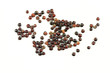 Organic Black Quinoa seeds close-up. Organic Black Quinoa seeds close-up.