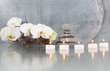 Stilleben, Orchidee mit Kerze