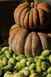 zucche zucca zucchine biologiche
