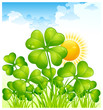 Landscape with clover