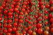 Tomaten
