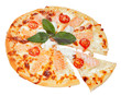 pizza on a white background