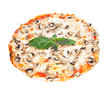 pizza on a white background