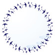 swallows, frame
